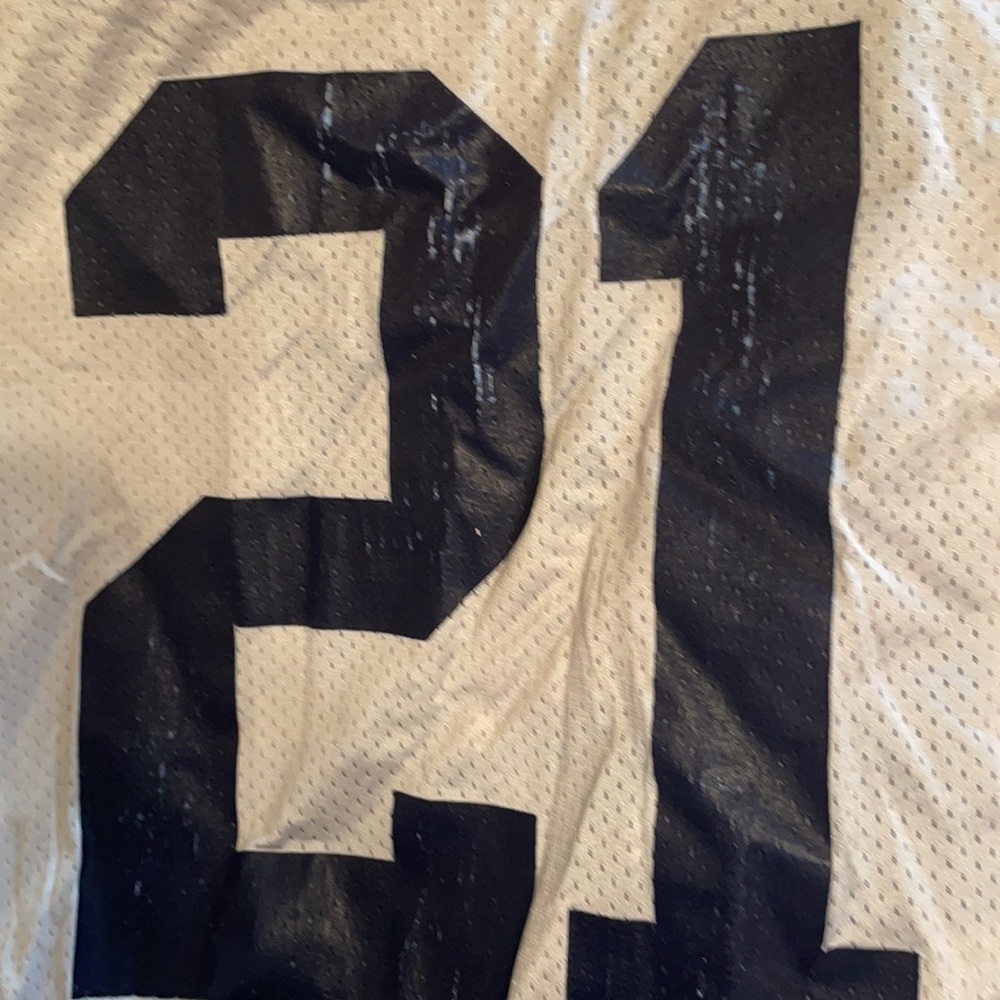 29 34 Vintage Sportswear Desmond Howard Jersey - Picture 6 of 7